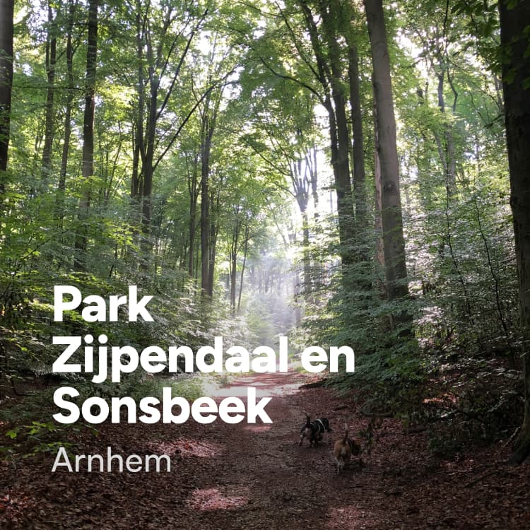 Park