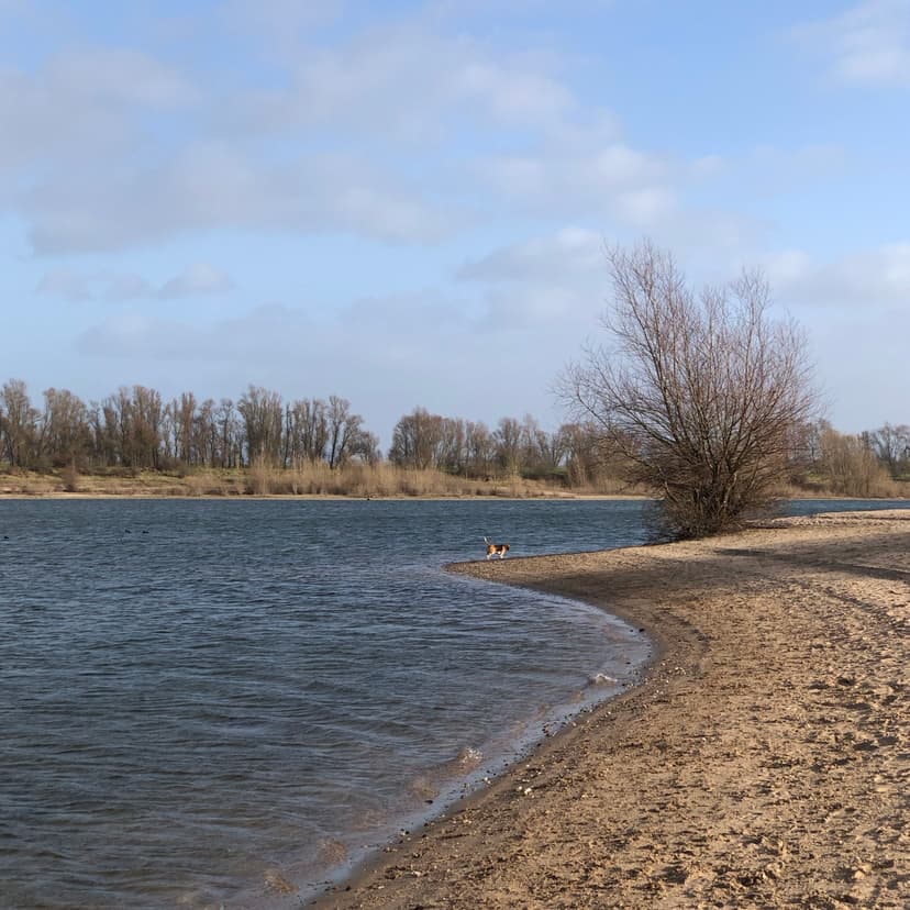 De Bijland, Lobith