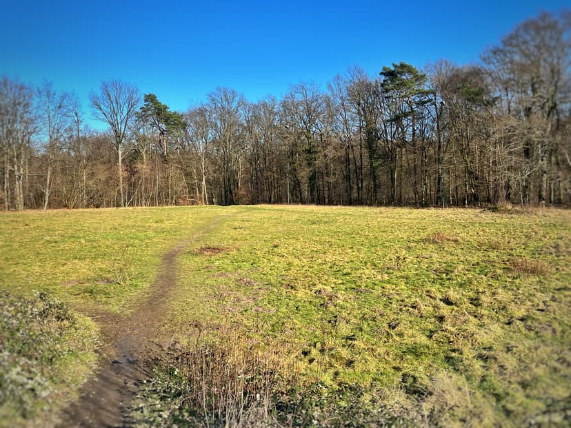 Losloopgebieden Brunssum, Brunssum