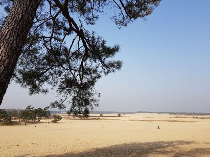 Loonse en Drunense Duinen, Kaatsheuvel