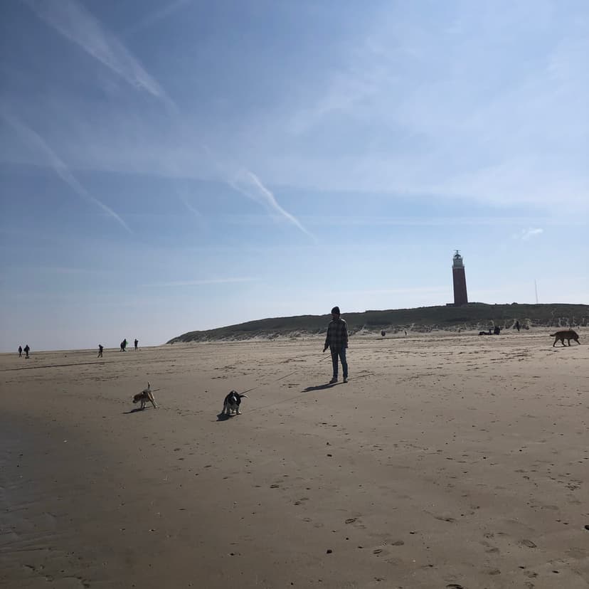 Texel, Texel