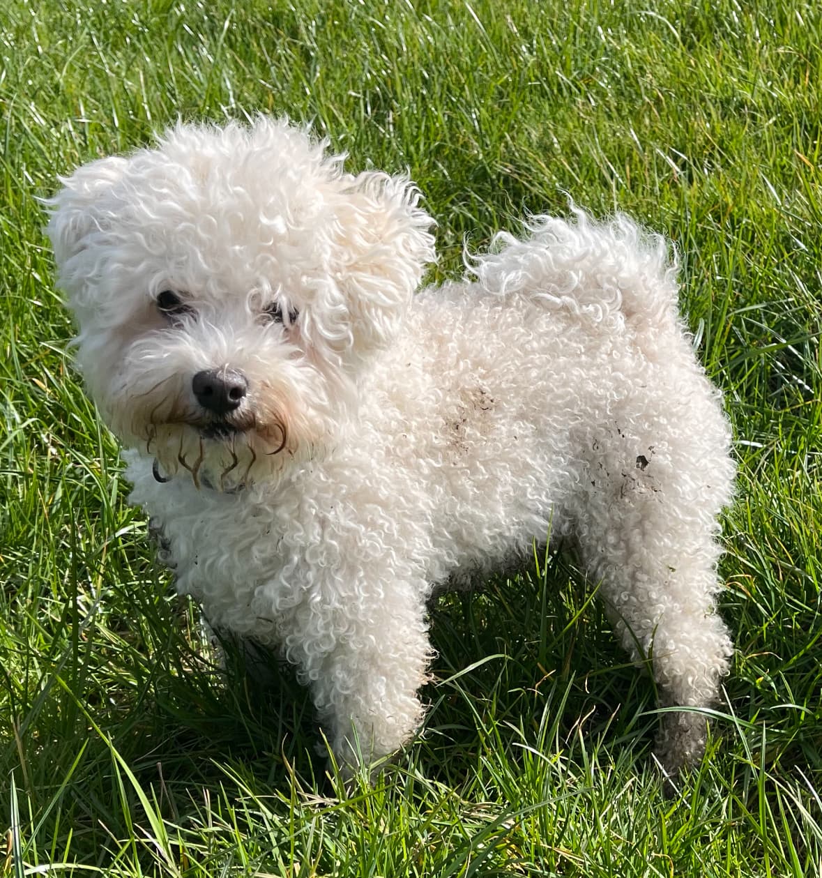 Mrtibbs1999, CC BY-SA 4.0 <https://creativecommons.org/licenses/by-sa/4.0>, via Wikimedia Commons