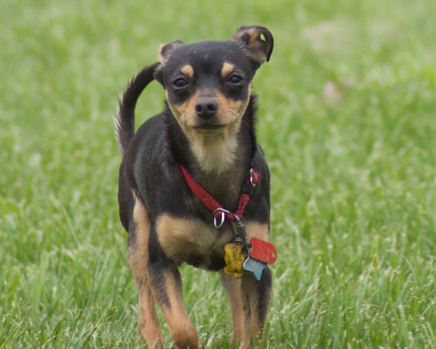 sally9258, CC BY 2.0 <https://creativecommons.org/licenses/by/2.0>, via Wikimedia Commons