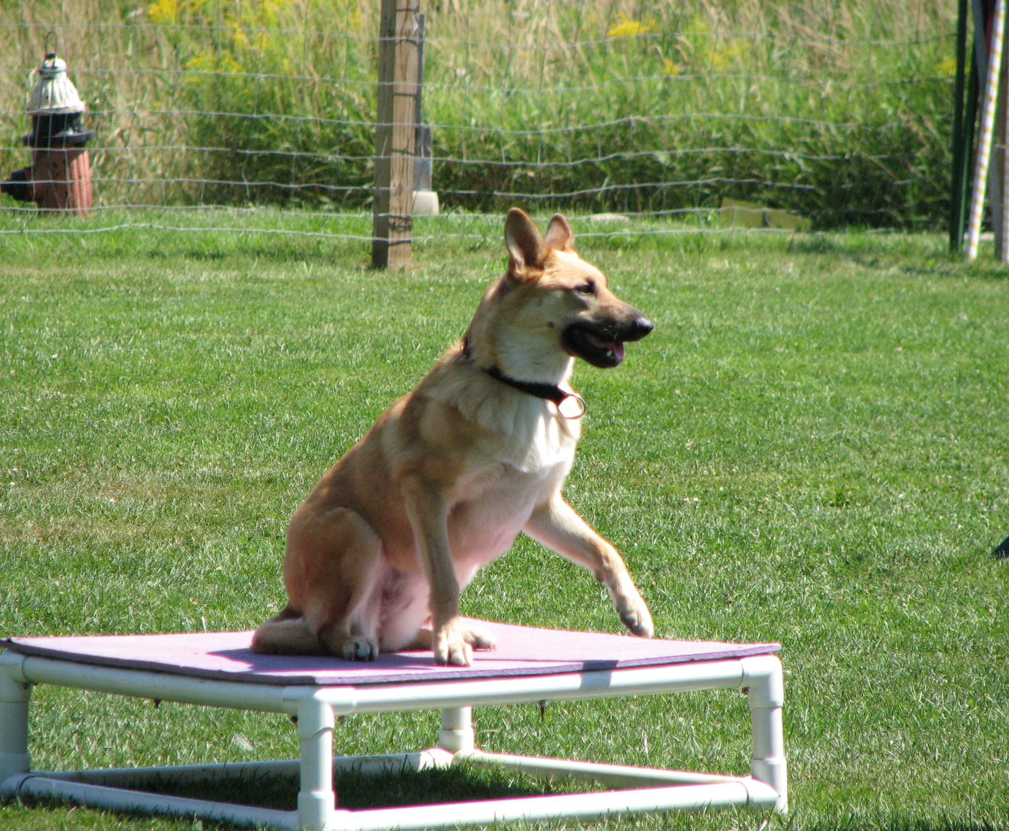 jude, CC BY 2.0 <https://creativecommons.org/licenses/by/2.0>, via Wikimedia Commons